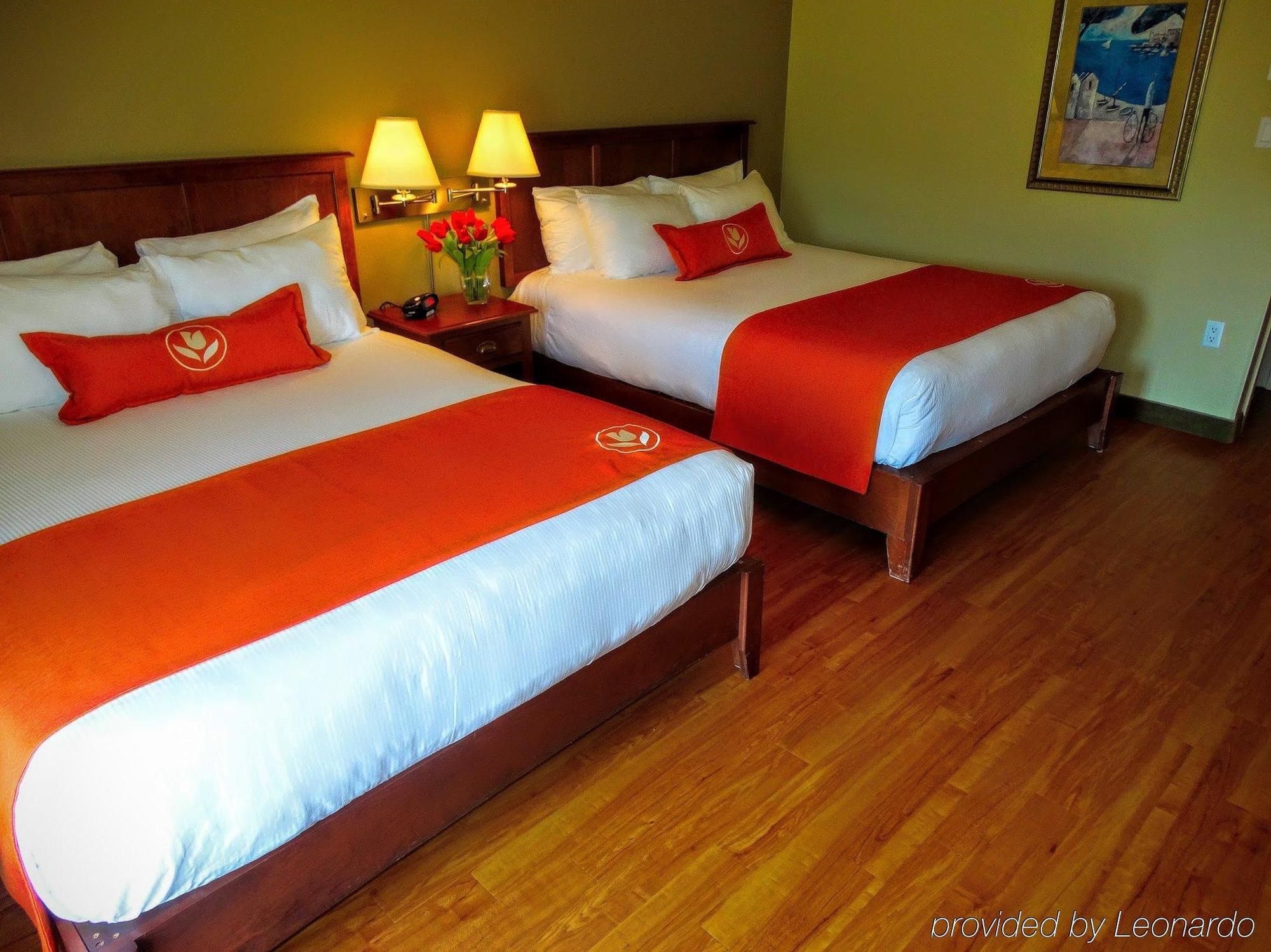 Amsterdam Inn & Suites Moncton Exteriör bild