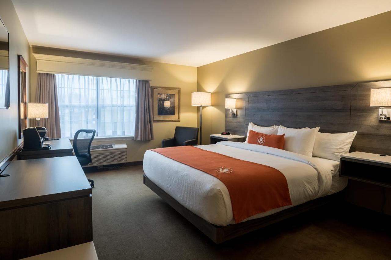 Amsterdam Inn & Suites Moncton Exteriör bild