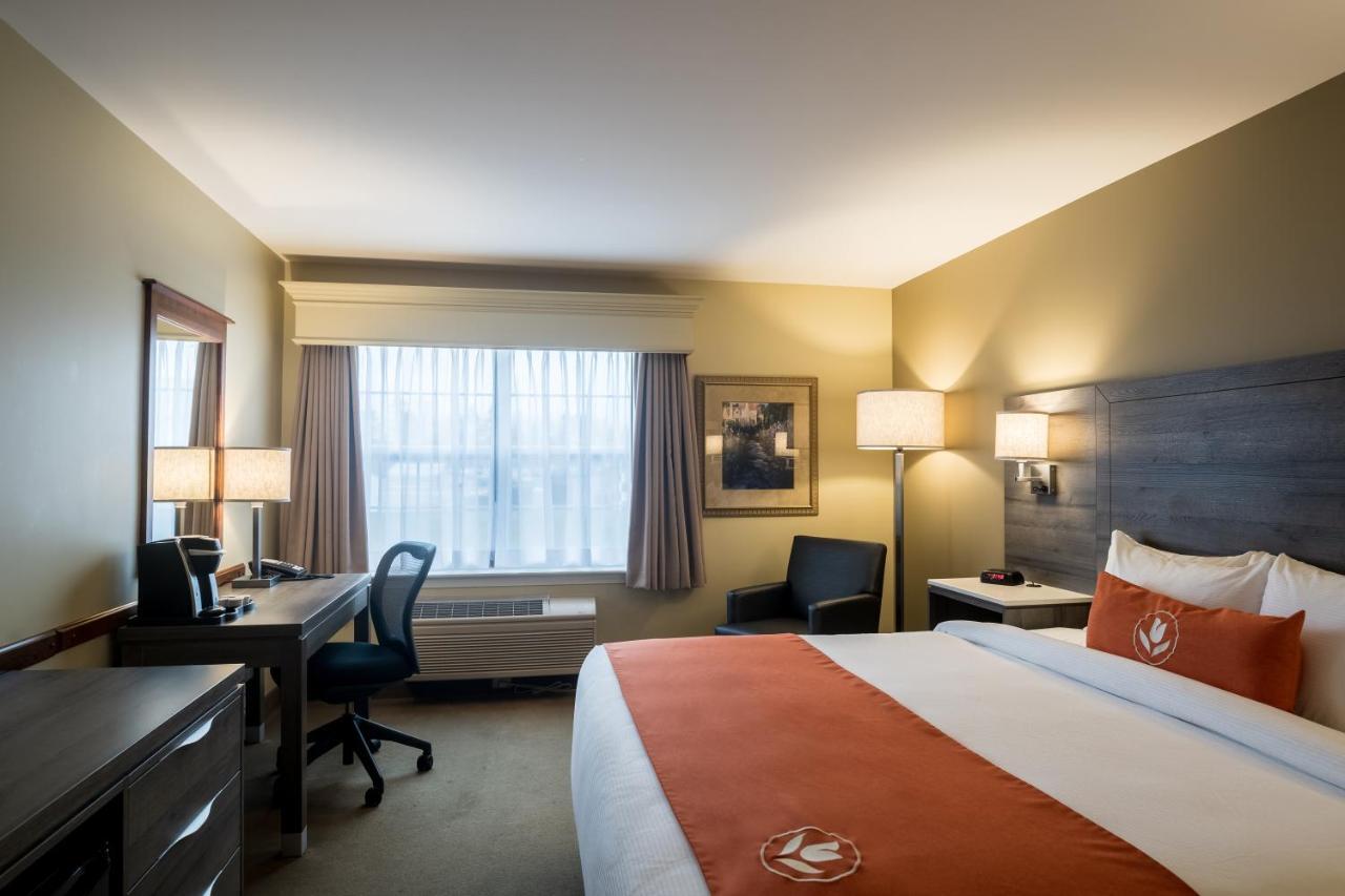Amsterdam Inn & Suites Moncton Exteriör bild