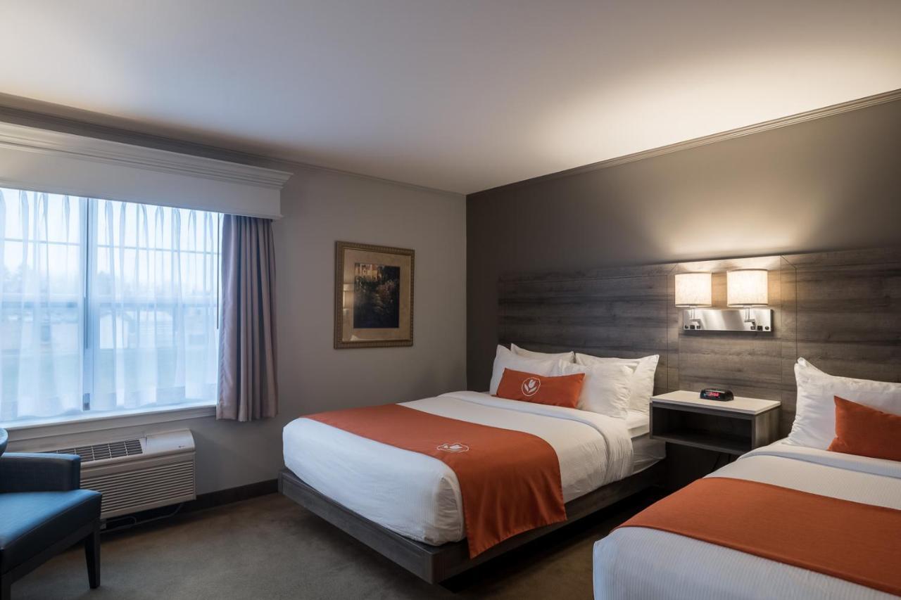 Amsterdam Inn & Suites Moncton Exteriör bild