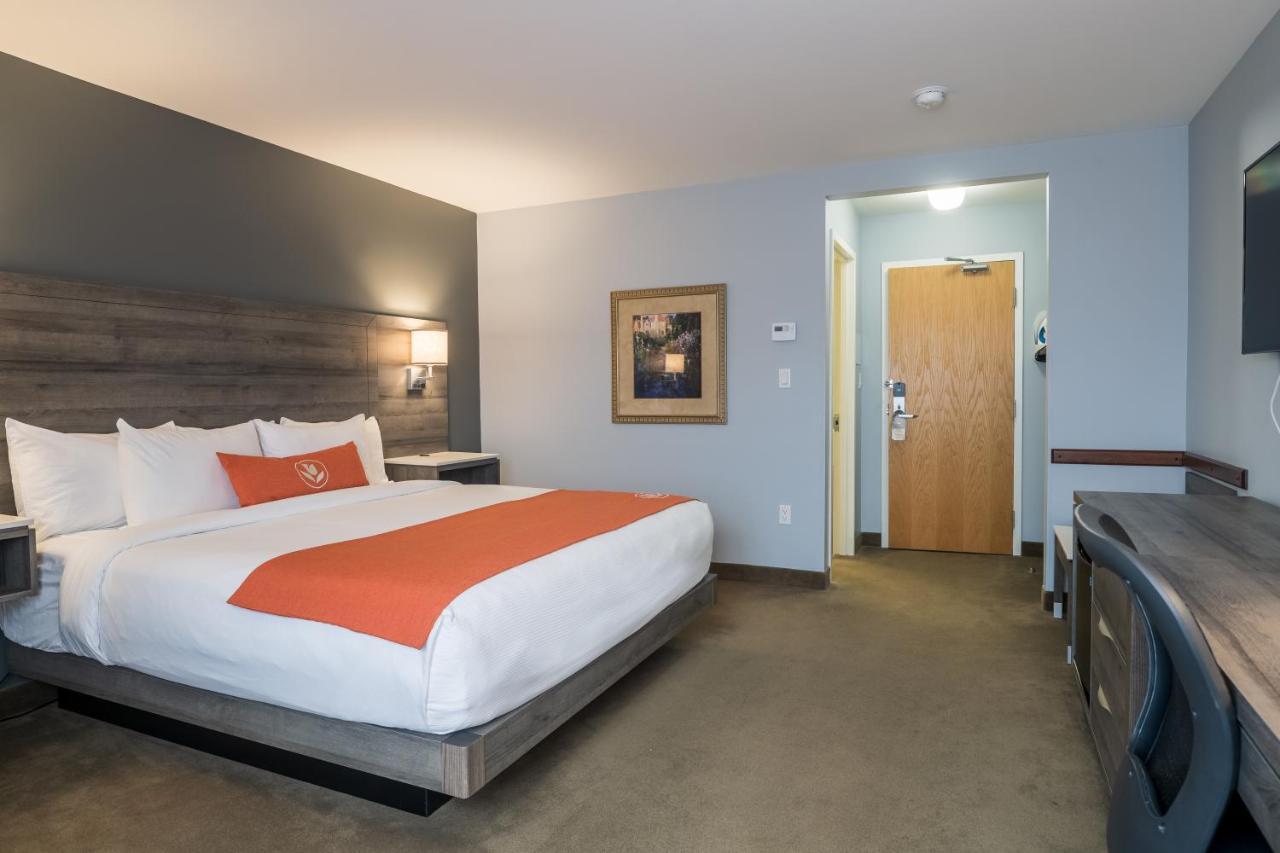 Amsterdam Inn & Suites Moncton Exteriör bild
